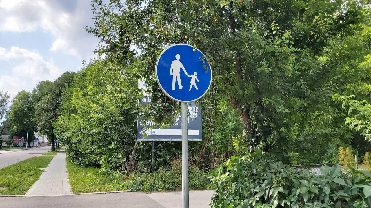 Znak C-16 droga dla pieszych